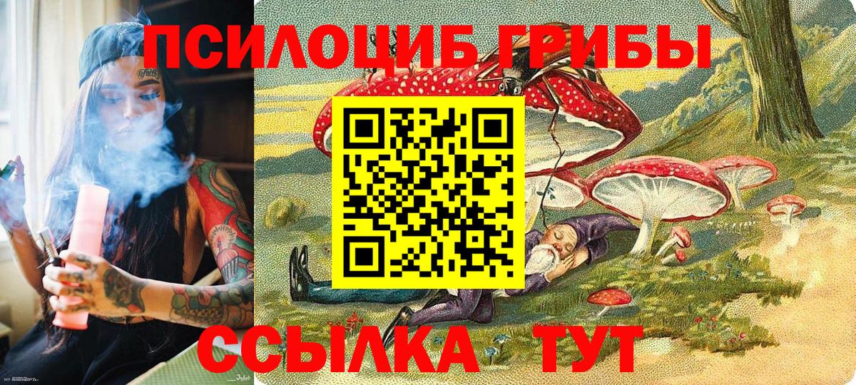 как найти наркотики  Псилоцибиновые грибы мицелий  Вход с VPN  Норильск 